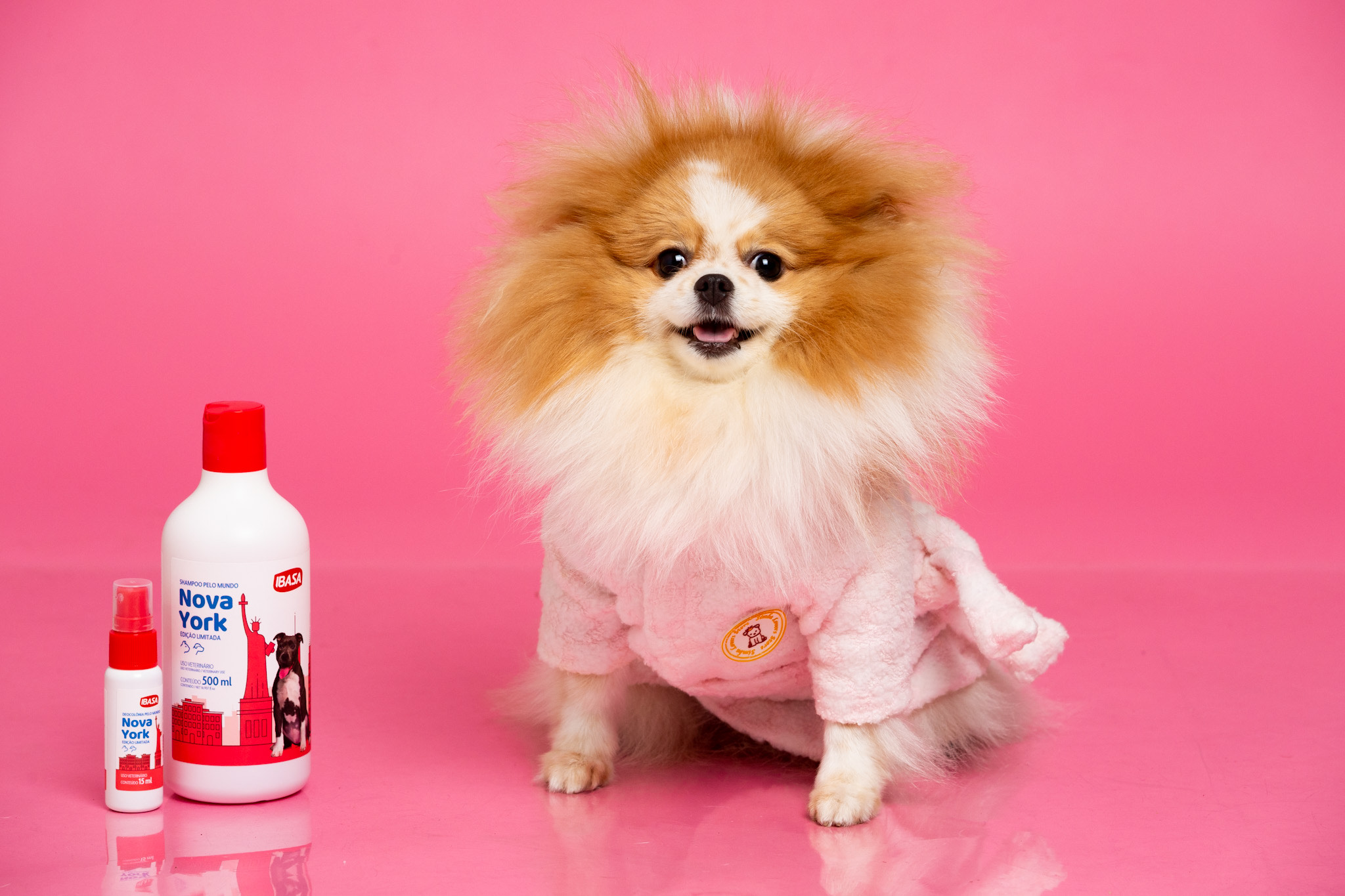 image_6483441 (8).JPG