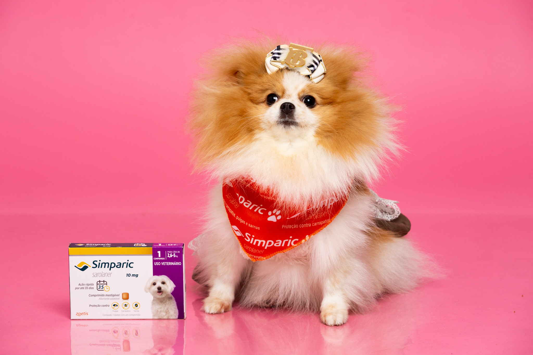 image_6483441 (1).JPG