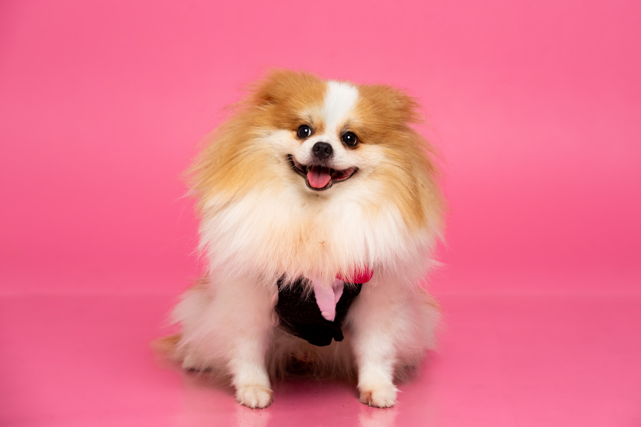 image_6483441 (2).JPG