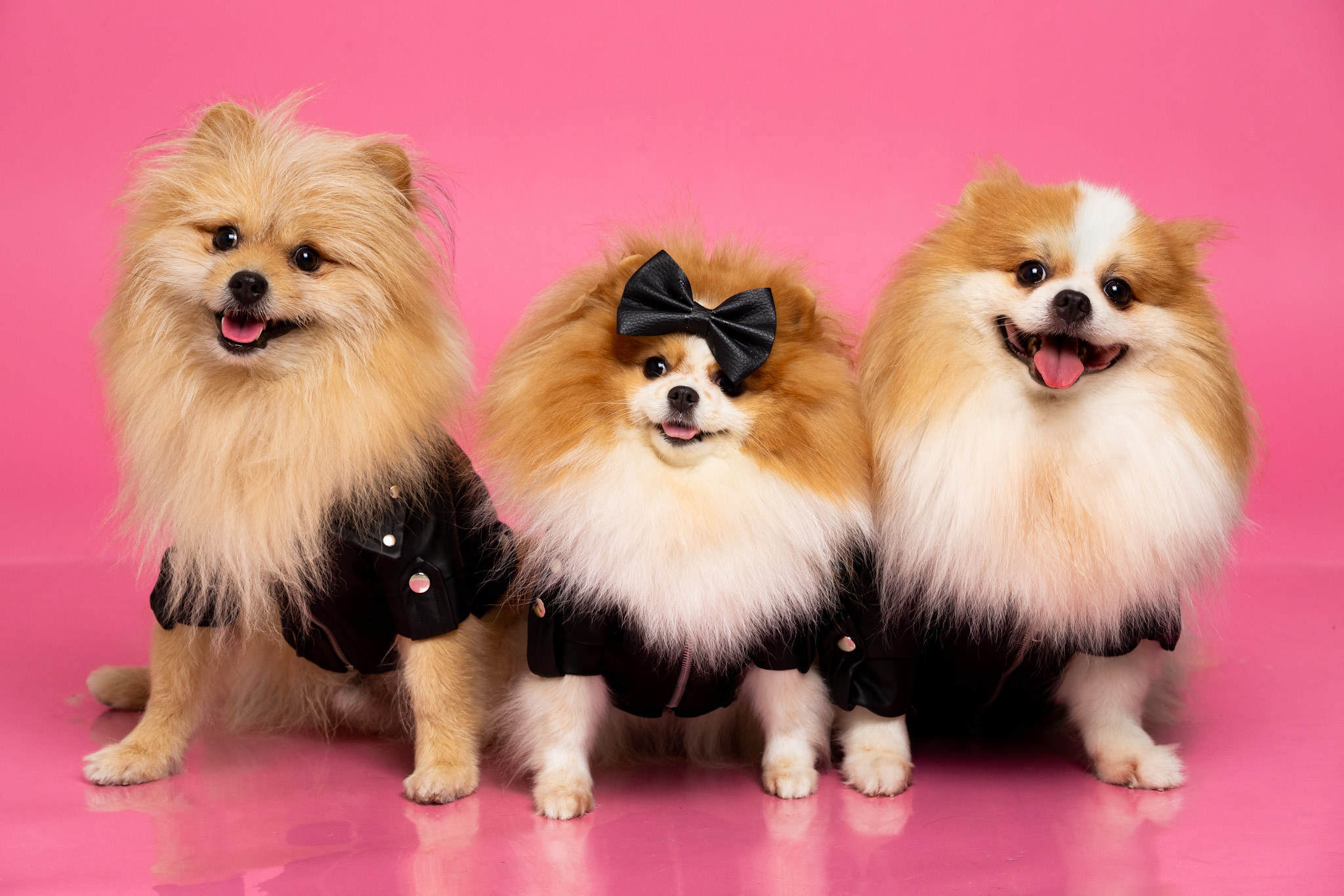 image_6483441 (3).JPG