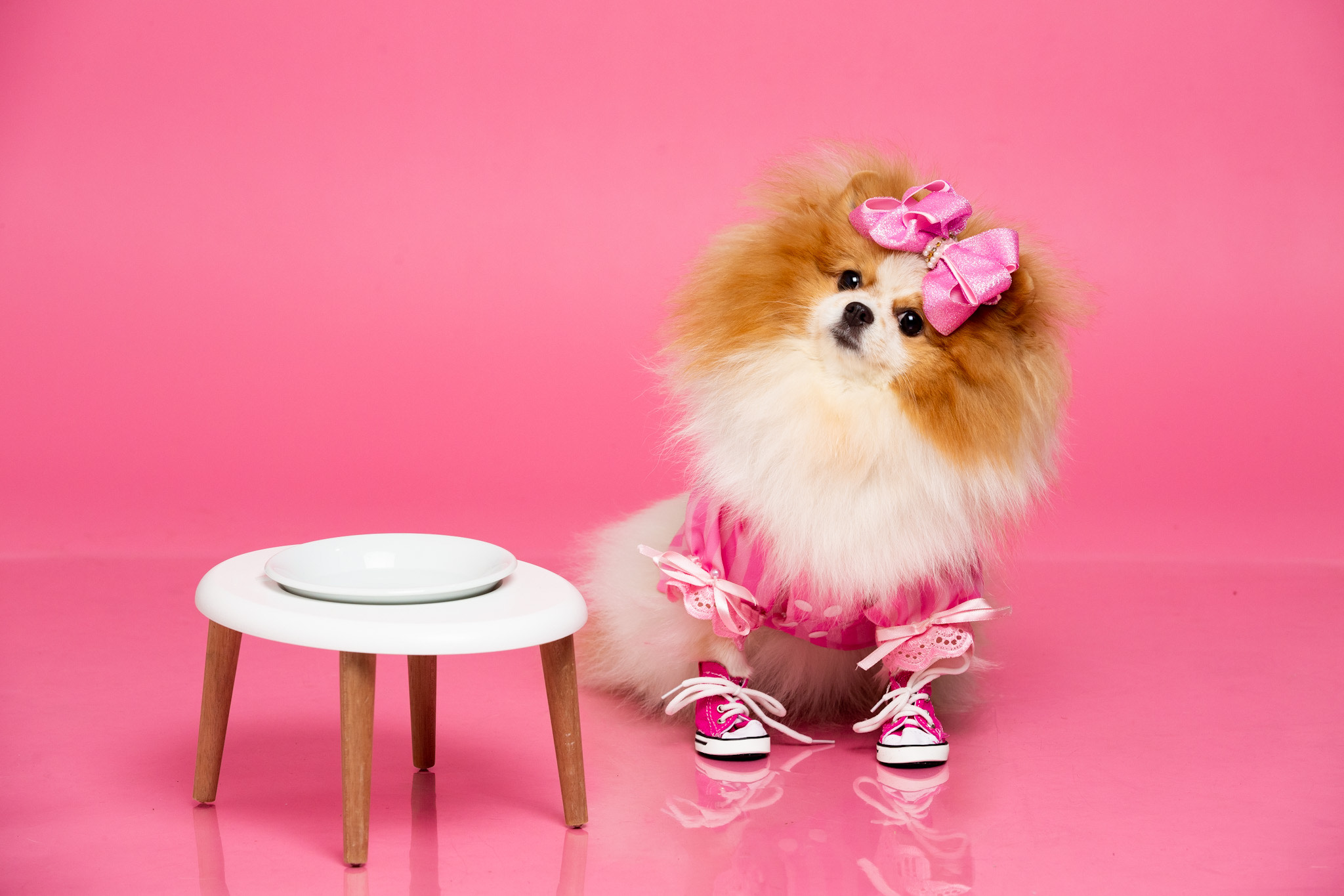 image_6483441 (2).JPG