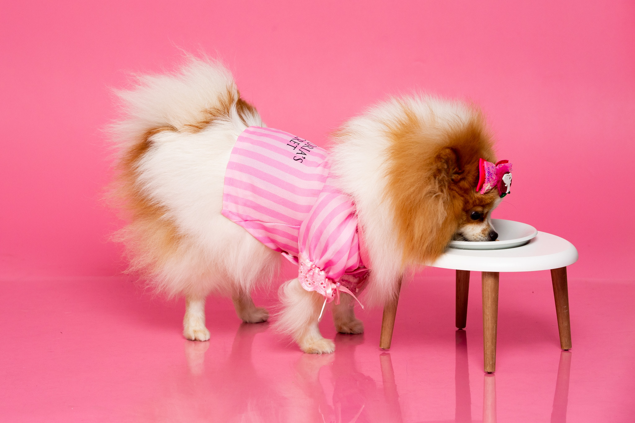 image_6483441 (1).JPG