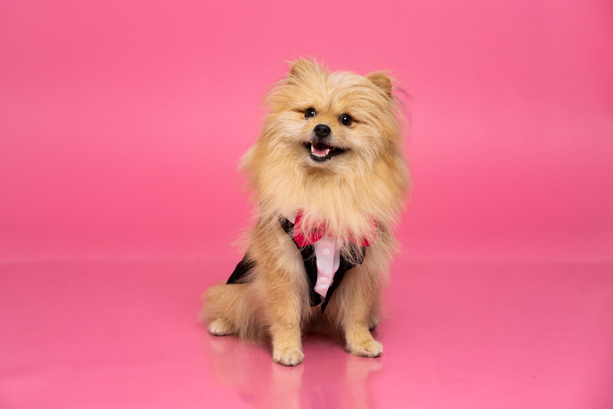 image_6483441 (4).JPG