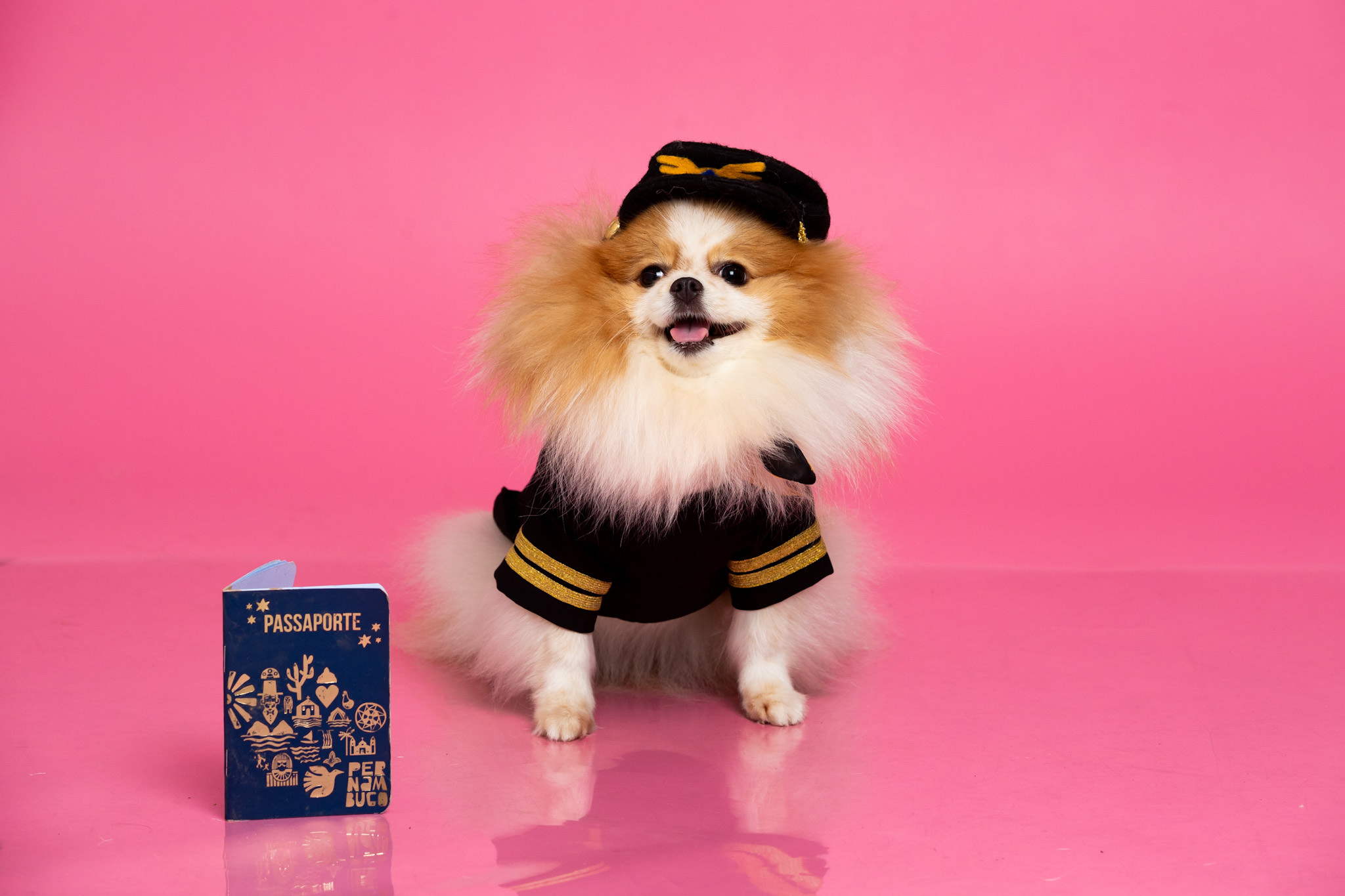 image_6483441 (5).JPG